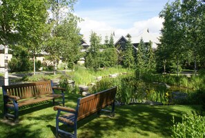 Jardines del alojamiento