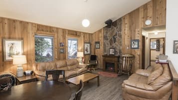 TV, fireplace, books
