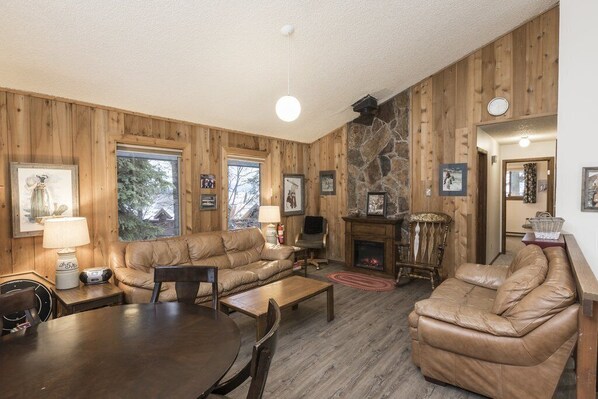 TV, fireplace, books