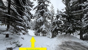 Property grounds - Cozy, Quiet Mountainside Location, Free Parking & WiFi, Huge Deck (Whistler)