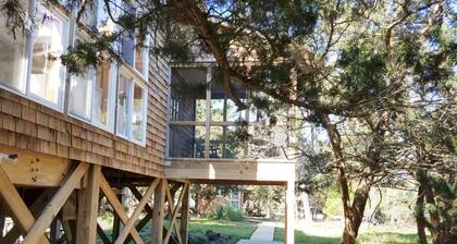Piper Green: Dog friendly on nearly an acre, privacy and tranquility.