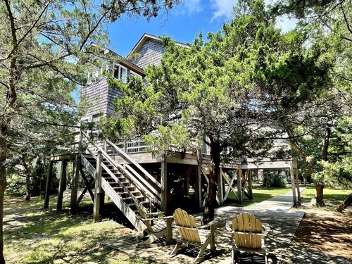 Piper Green:  Dog friendly on nearly an acre, privacy and tranquility.