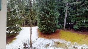 A forested area with snow-covered ground and a mix of evergreen and deciduous trees. - Woodrun Lodge - True Ski In/Ski Out, Pool, Hot Tub, Perfect for Families (Whistler)