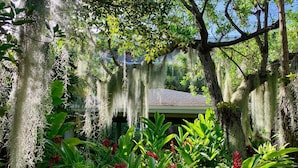 A covered outdoor area with hanging moss, surrounded by lush green plants and red flowers.