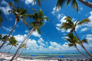 Playa en los alrededores 