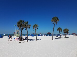 Beach nearby, sun-loungers, beach towels - Steps from the Beach, Family Beach House, Pets OK, Sleeps 8 (clearwater beach)