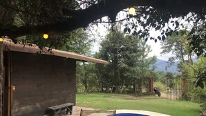 A wooden cabin with a stone patio, a small swimming pool, and a bench.
