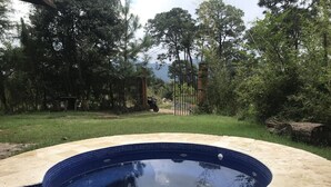 A swimming pool with a tiled edge, surrounded by a grassy area and trees.
