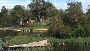 A calm lake with a wooden dock extending into the water, surrounded by lush greenery and trees. - Monthly rental getaway on lake LBJ (Kingsland)