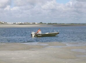 Lettini da mare