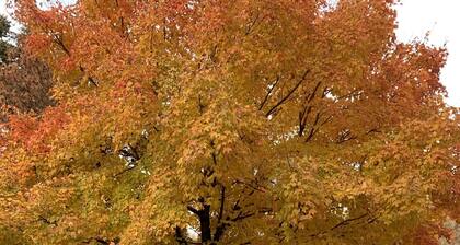 "Your Country Home Away from Home"