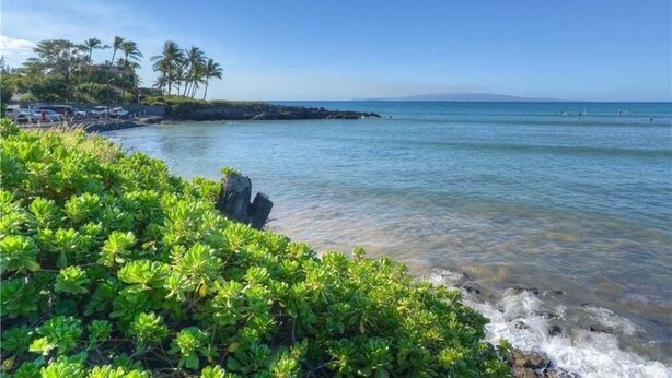 A coastal scene with a rocky shoreline, lush green vegetation, and a clear blue sky. - Modern 3 Bedroom Family Friendly Kihei Home Near Beach (Kihei)