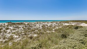 Ein Strand mit weißen Sanddünen und spärlicher Vegetation.