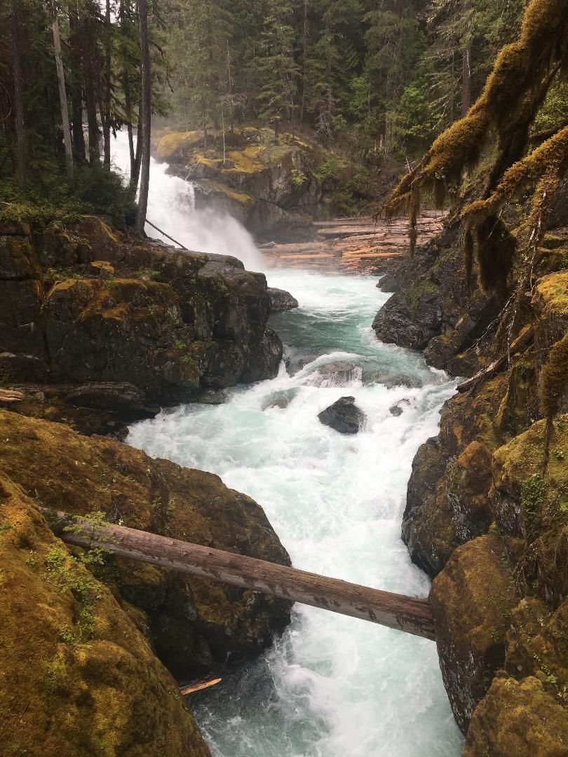 A river flowing through a forested area with rocky terrain and a wooden bridge.