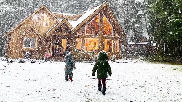 Una cabaña de madera con techo nevado y ventanas amplias, rodeada de árboles.