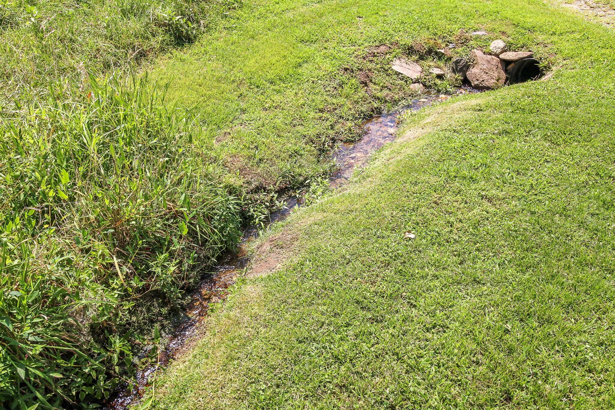A grassy landscape with a narrow stream and a small rocky outcrop.