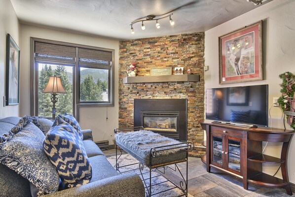 Televisión, chimenea, videojuegos y reproductor de DVD