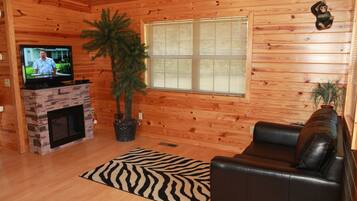 TV, fireplace, DVD player