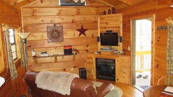 TV, fireplace, DVD player, books