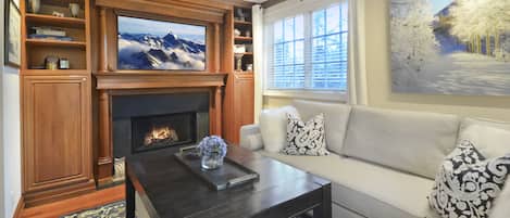 Smart TV, fireplace, DVD player, music library