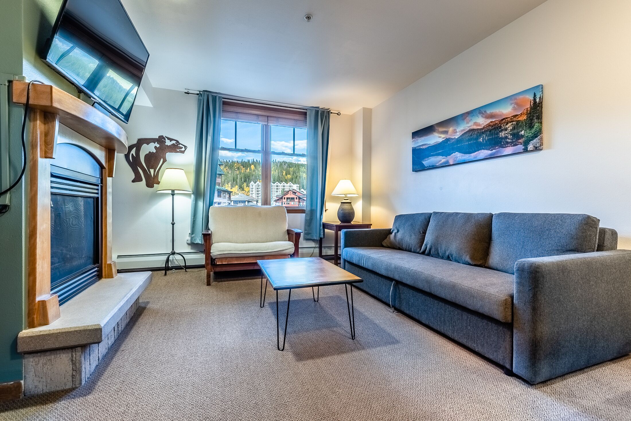 TV, fireplace, video games, DVD player