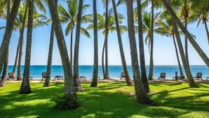 Una playa con palmeras y sillas de descanso frente al océano.