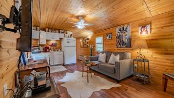 TV connectée, cheminée, vidéothÚque