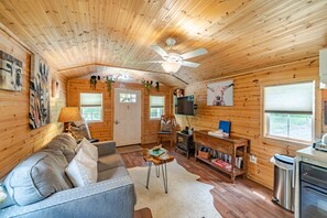 Smart TV, chimenea y videoteca