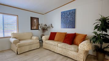 TV, fireplace, books