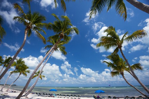 @@@ Herbstrabatte Auf dem Meer bleiben Last Minute Specials Buchen & Sparen @@@