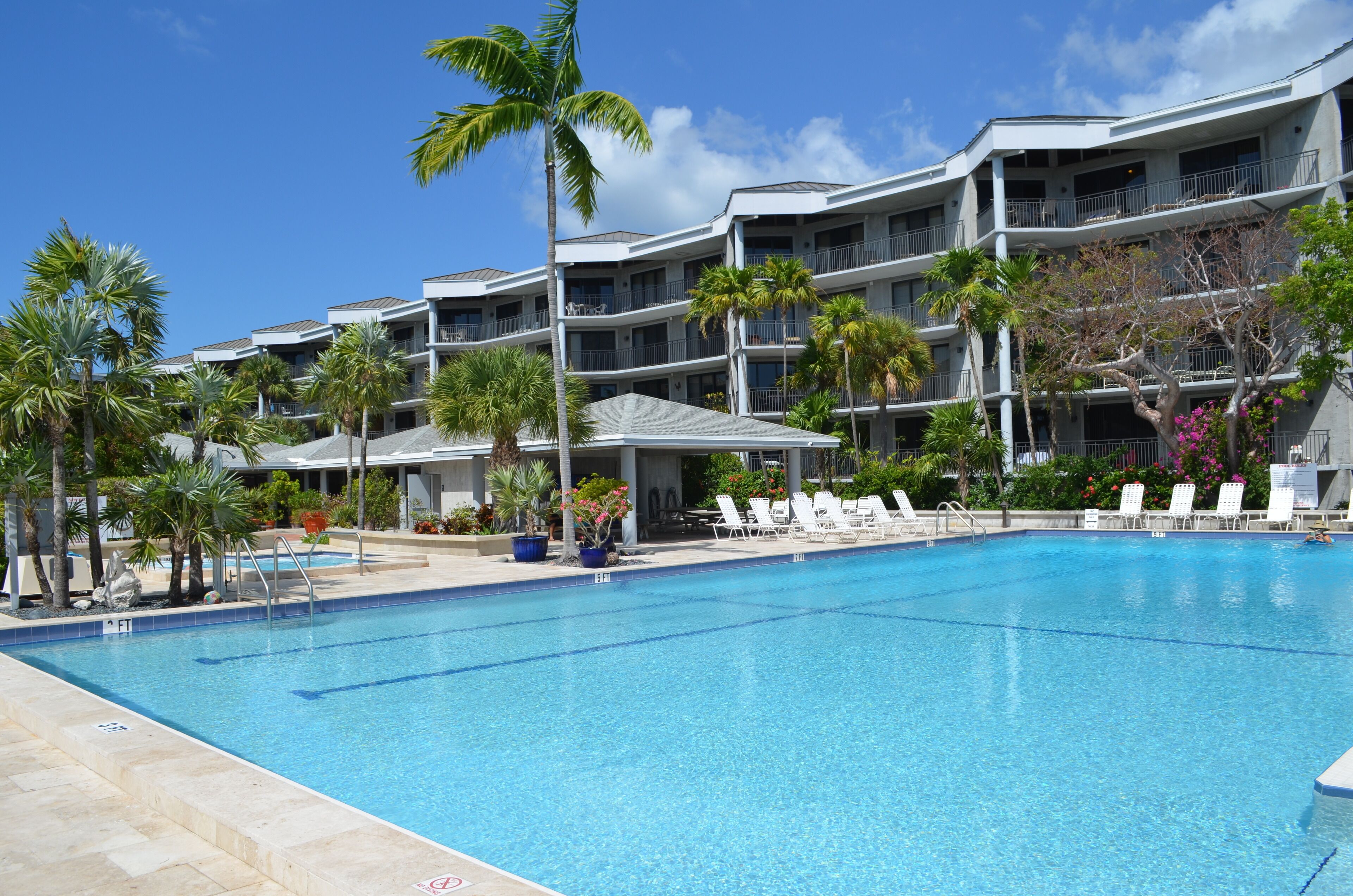Un hôtel doté d’une piscine, de palmiers et de nombreux balcons.