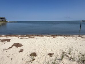 A beach with a sandy shore, some vegetation, and a body of water. - Isle Of Skye: Sandy sound side beach, excellent for water activities. (Ocracoke)