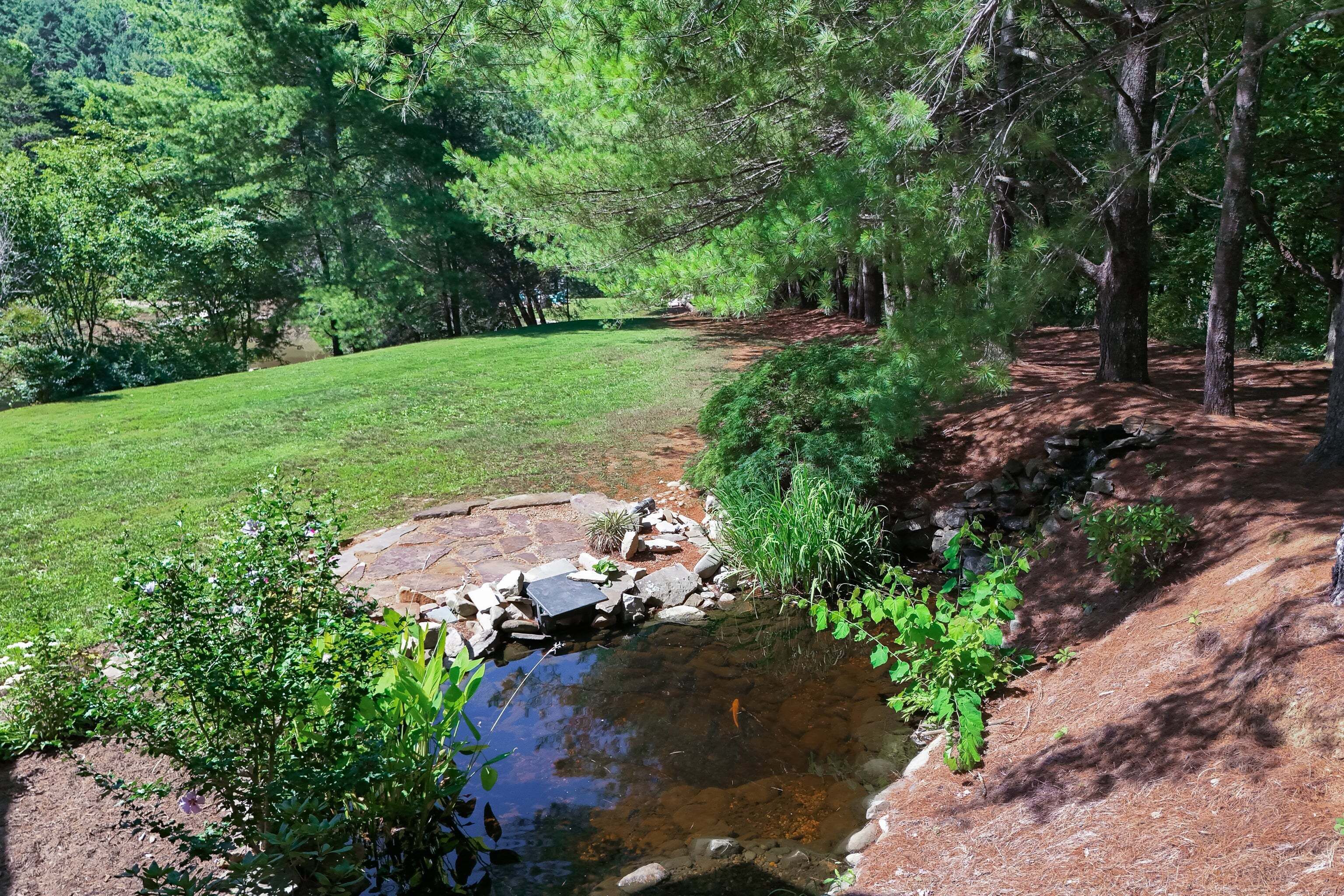 A natural outdoor setting with a small stream, grassy areas, and trees.