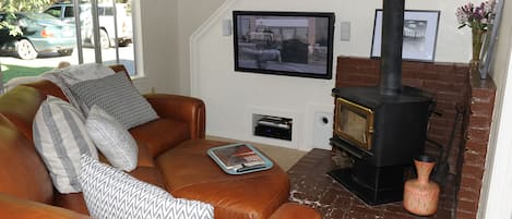 Télévision, cheminée, lecteur de DVD, médiathèque