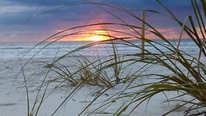 A beach scene with grass in the foreground and a sunset in the background. - Spacious, Pet Friendly, Townhome short walk to the beach with backyard (New Smyrna Beach)