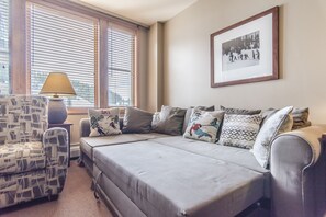 Flat-screen TV, fireplace, DVD player