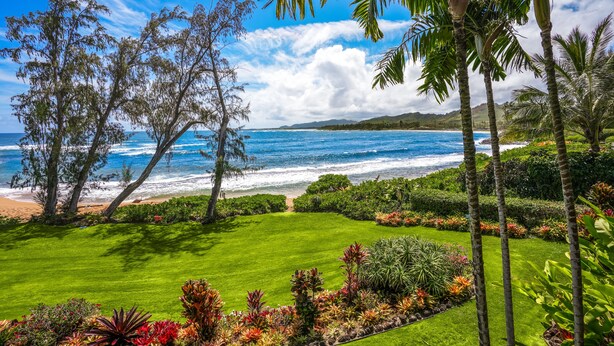 Un jardin luxuriant offrant une vue sur l’océan et les montagnes.