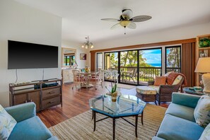 平面電視、書籍