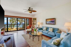 平面電視、書籍