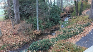 A natural landscape with a small stream, surrounded by trees and bushes, with a paved path alongside.
