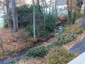 Property grounds - Hole in One - Hot Tub, Fishing, Fireplace, Views, Wi-Fi, Pet-Friendly (Canton)