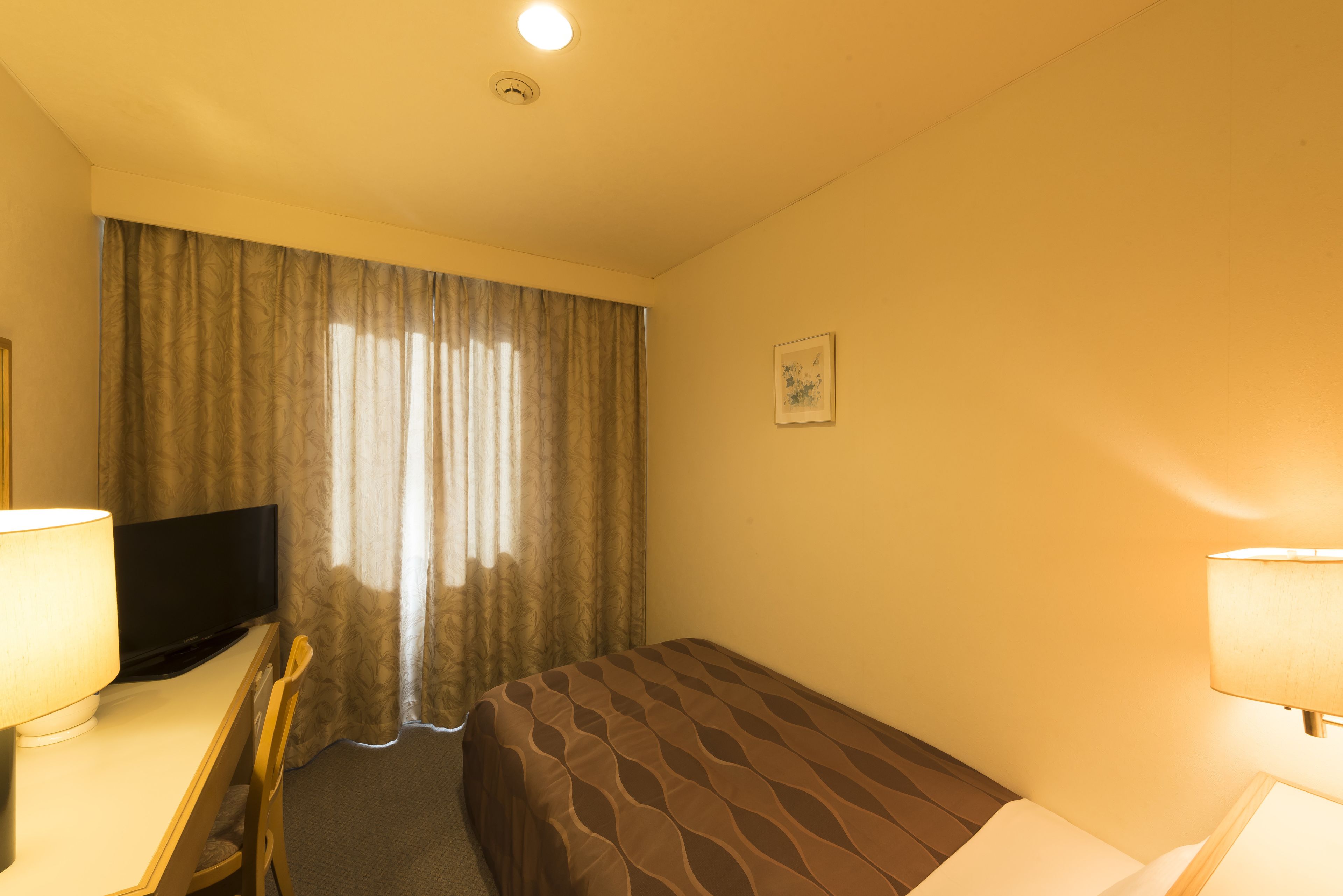 Una habitación de hotel con una cama, un escritorio con televisor y una silla.