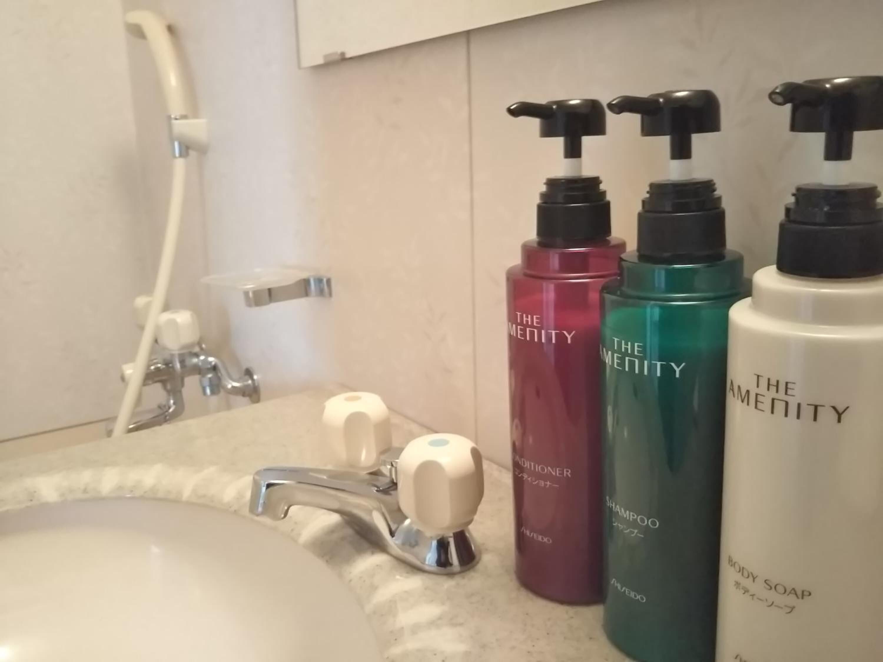 Articles de toilette gratuits, sèche-cheveux, chaussons