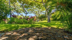 Property grounds - Tropical Villa w/Beach Club Access ★Quiet Location★Bikes and Beach Gear★Walk to Restaurants (Kamuela)