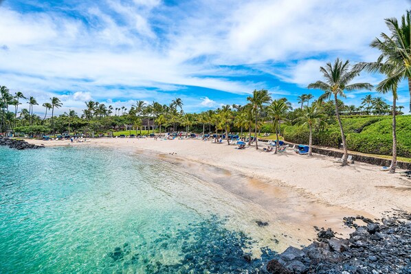 A beach with clear turquoise water, palm trees, and sun loungers.