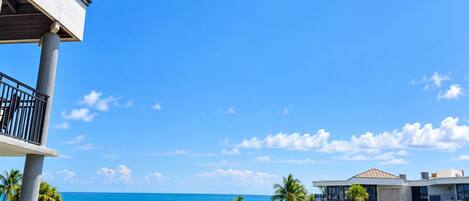 A resort with a view of the ocean, palm trees, and a pool area.