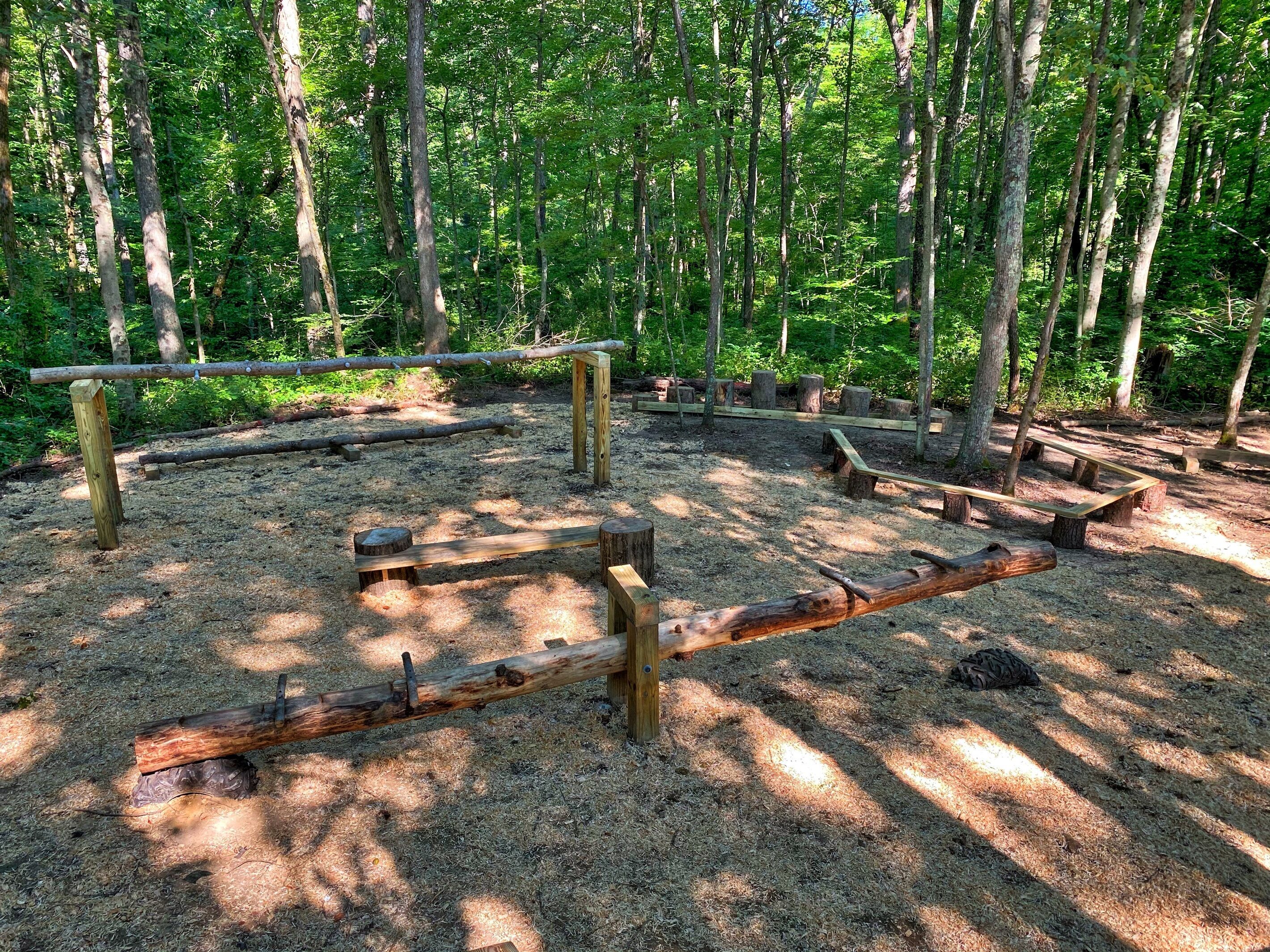 A forested area with wooden structures, possibly for outdoor activities.