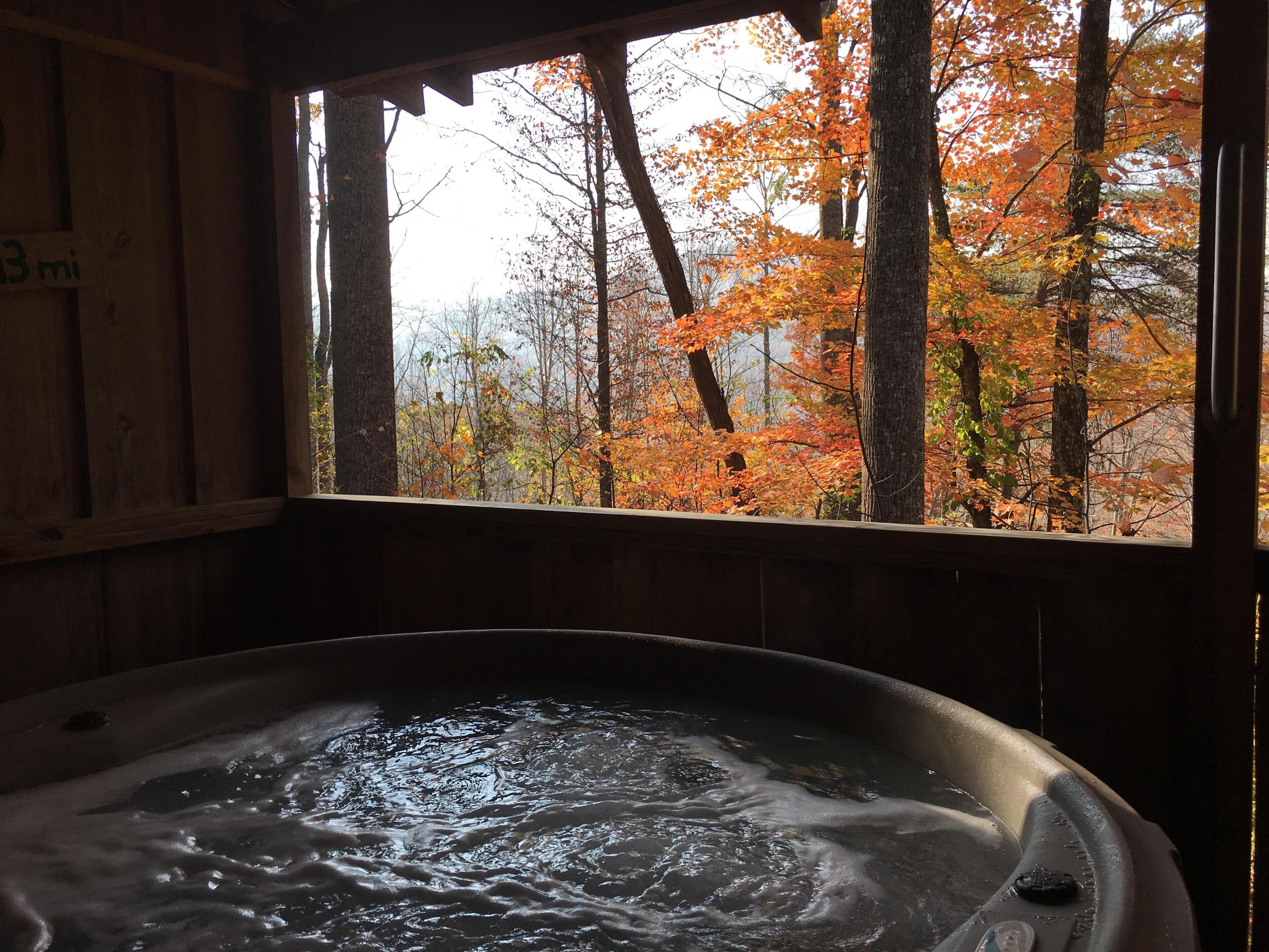 Jus Nappin! Hot Tub, Private, Grill, Full Kitchen, Free WiFI, Pet Friendly