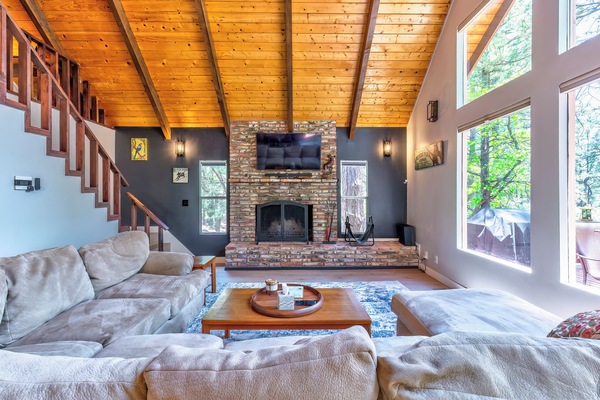 Smart TV, chimenea, reproductor de DVD y libros