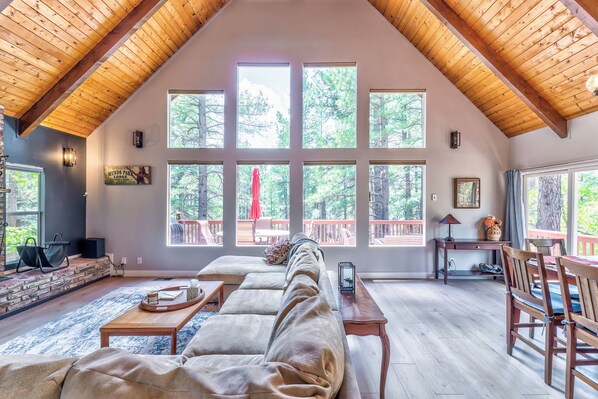 TV connectée, cheminée, lecteur de DVD, livres